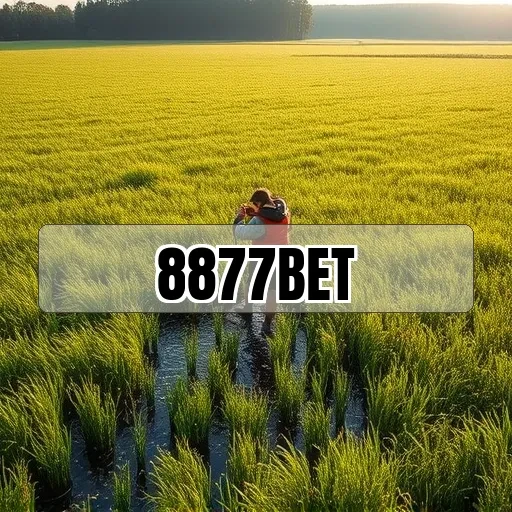 8877bet: Melhore Suas Apostas com Recursos de Esportes Incríveis